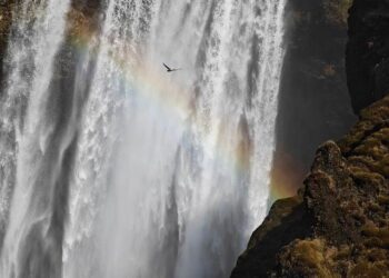 Canada-Iceland Joint Statement – Canada.ca