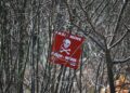 Finland To Build A Million Landmines As Russian Threat Looms – TWZ
