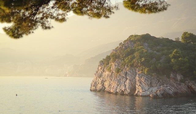 Montenegro opens Tara bridge for traffic after China-funded revamp – SeeNews