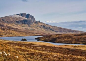 Loganair to axe Isle of Man-London City route – BBC