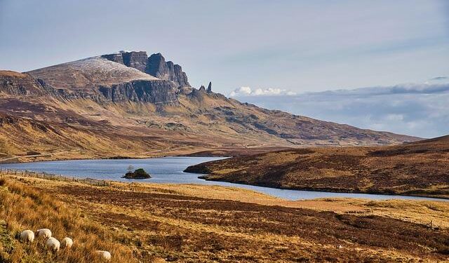 Loganair to axe Isle of Man-London City route – BBC