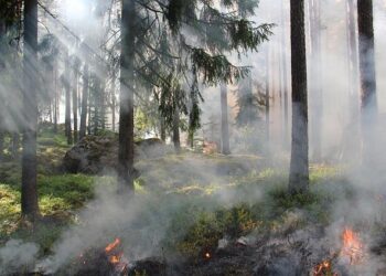 Sweden Grants Nearly $1B In Funding To Three BECCS Companies – Carbon Herald