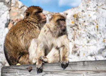 5 Must-Read Analyst Questions From Gibraltar’s Q2 Earnings Call – Yahoo Finance