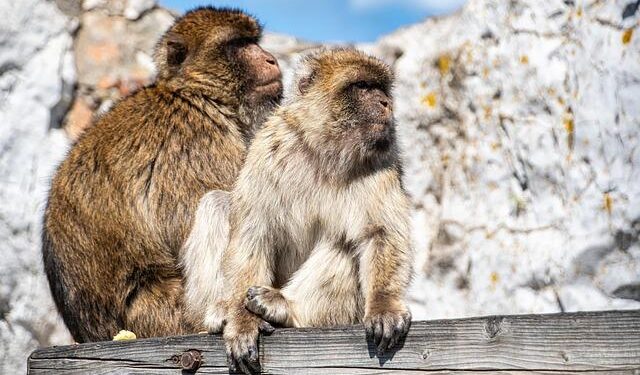5 Must-Read Analyst Questions From Gibraltar’s Q2 Earnings Call – Yahoo Finance