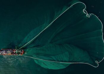 Boat Drones Sink ZIM-Chartered Ship off Bulgaria, Crew Rescued – The Media Line