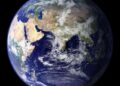 TurtleTree Moves Global Headquarters to the Netherlands, Hands LF+ Women’s Health Research to NIZO – vegconomist.com