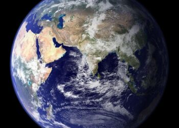 TurtleTree Moves Global Headquarters to the Netherlands, Hands LF+ Women’s Health Research to NIZO – vegconomist.com