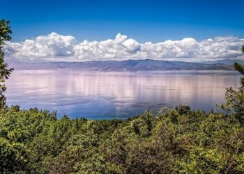 In North Macedonia, parliament urged to hold referendum on constitutional recognition of minorities – ConstitutionNet